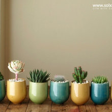 Collections
