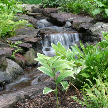 Specialty Features