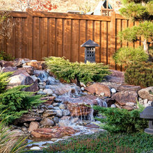 Japanese zen Garden