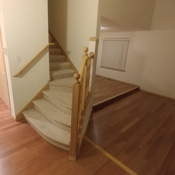 Bamboo for a Rental