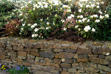 Garten in Essen