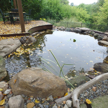 Pond Retrofit