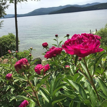 Peonie