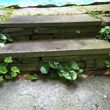 Little Masonry repair job (repair natural stone steps)