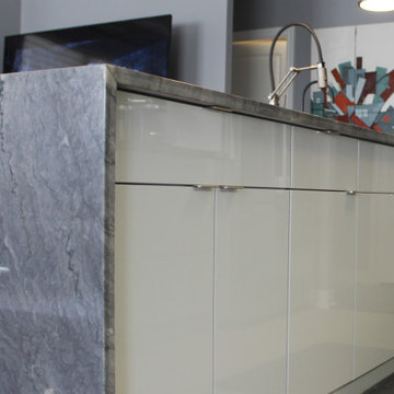 Contemporary high gloss kitchen in downtown luxury condo