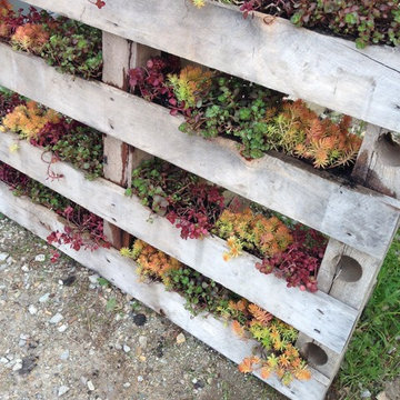 Custom Planters