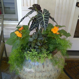 Container gardening - Products