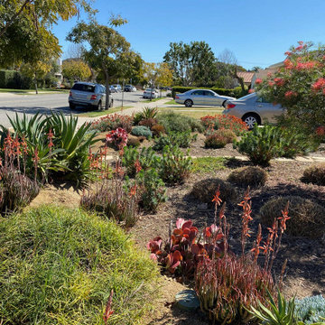 Bermed front yard