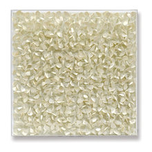 Vyas Wall Decor