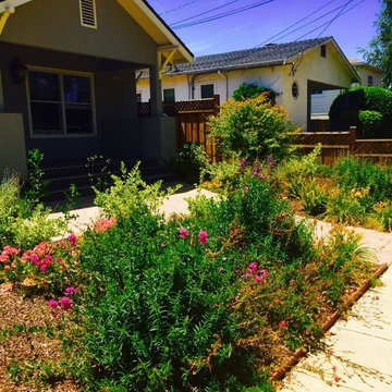 Burlingame - Low water-use Traditional California