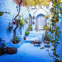 Interior Designer