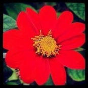 Amanda Breitmaier's photo