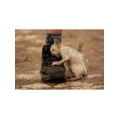 Carol Walker's photo