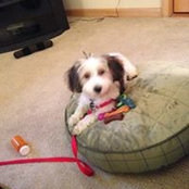 Judith Napienello's photo
