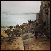Nicole Duong's photo