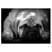 Michael Valeiko's photo