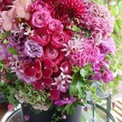 Rebecca Eirich's photo
