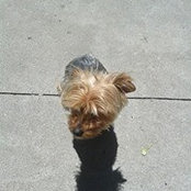 Carlos Cimi's photo