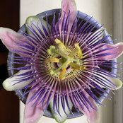 Doreen Sweeting's photo
