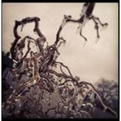Foto von Becky Hamilton