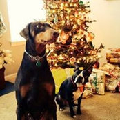 Paula McGrath's photo