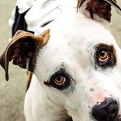 Jennifer Williams's photo