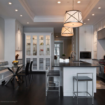 Lincoln Park Luxury: Gold Award for One-of-a-Kind Home 4001-6500 sq ft