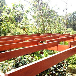Camino del bosque II - Pergolas