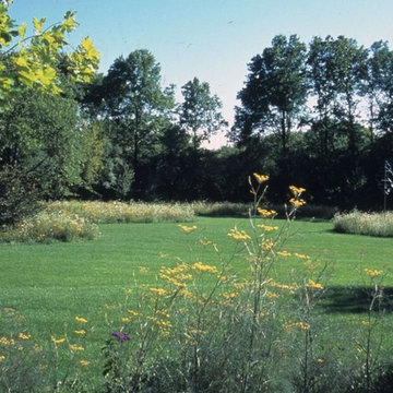 Lawn meets Prairie