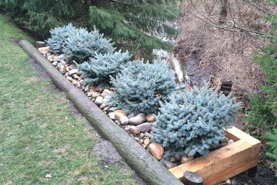 Timber Planter - Dwarf Blue Spruces - # 2 Round Stone and Cobblestone Mix