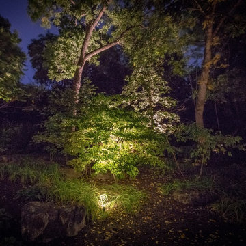 Landscape Lighting