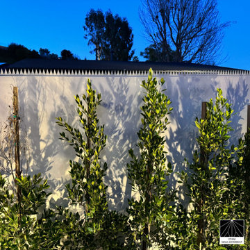 Elegant Perimeter Security with Ninja Deterrent™ Spikes