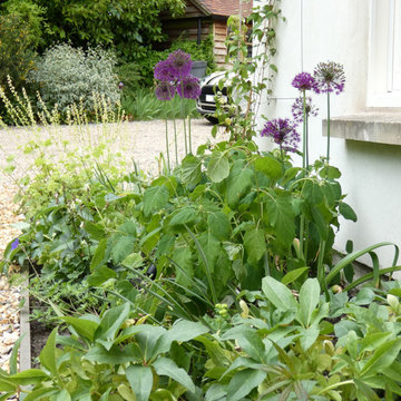 Family Garden, Market Lavington