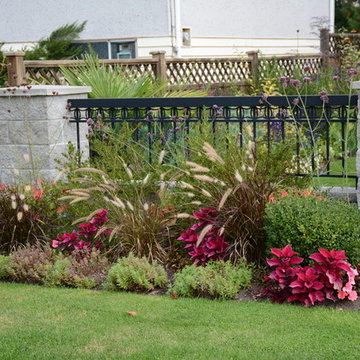 Poolside Garden and Containers