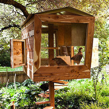 Landscape Ideas