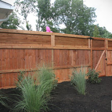 Landscape Ideas