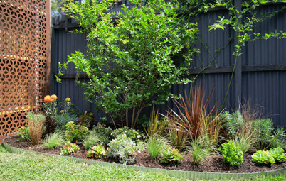 Before & After: A Small Garden Gets a Clever, Easy-Care Makeover