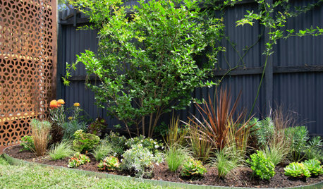Before & After: A Small Garden Gets a Clever, Easy-Care Makeover