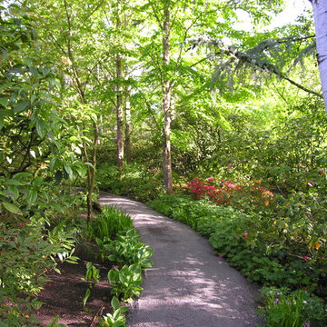 Woodland Garden
