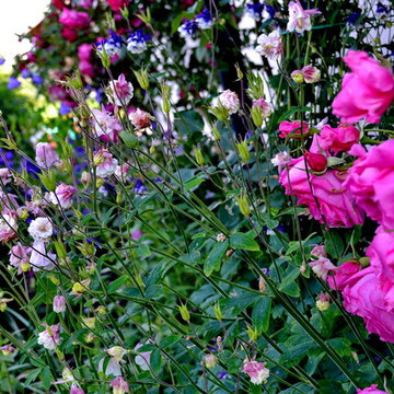 flowering vegetable garden
