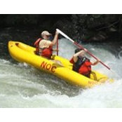 Cynthia Tedesco's photo