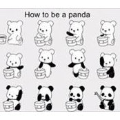 Chichi Pandaさんの写真