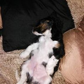 Debby Cooper-Mullins's photo