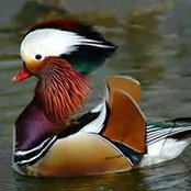 Elaine Bird's photo
