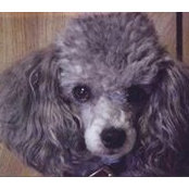 Foto von Diane Plourd