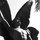 James Botha