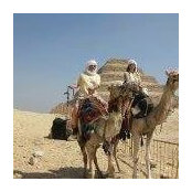 Yvonne Vindigni's photo