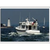 Paul Tortora's photo