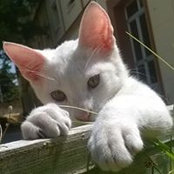 Jorge Boullosa Trejo's photo
