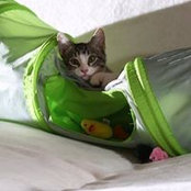 Cristina Peterson's photo